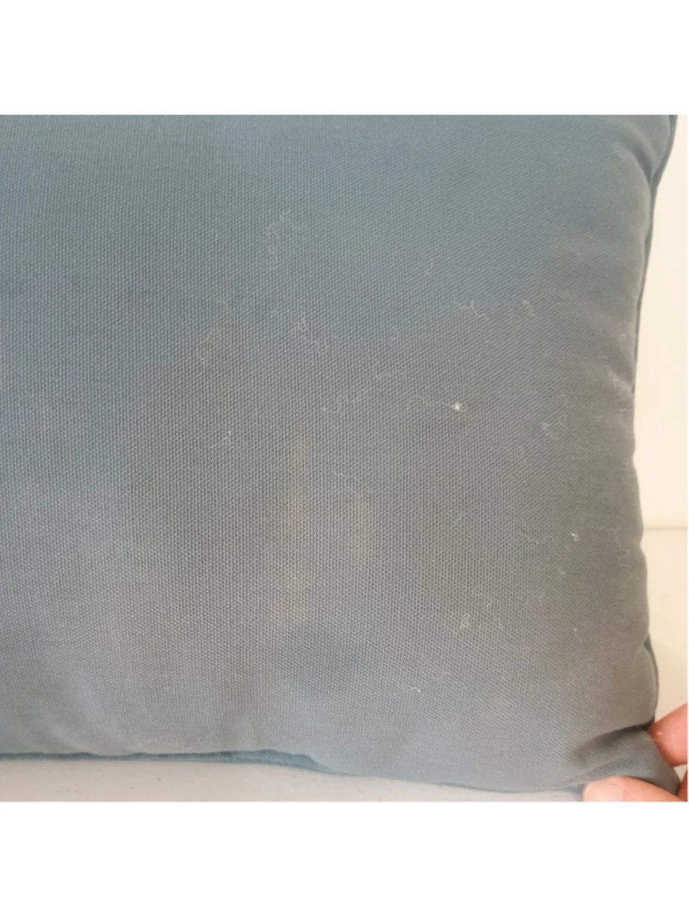 Linda Picken Bichon Frise Dog Blue Tapestry Throw Decor Pillow